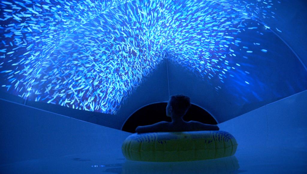 Immersive Entertainment Vortex