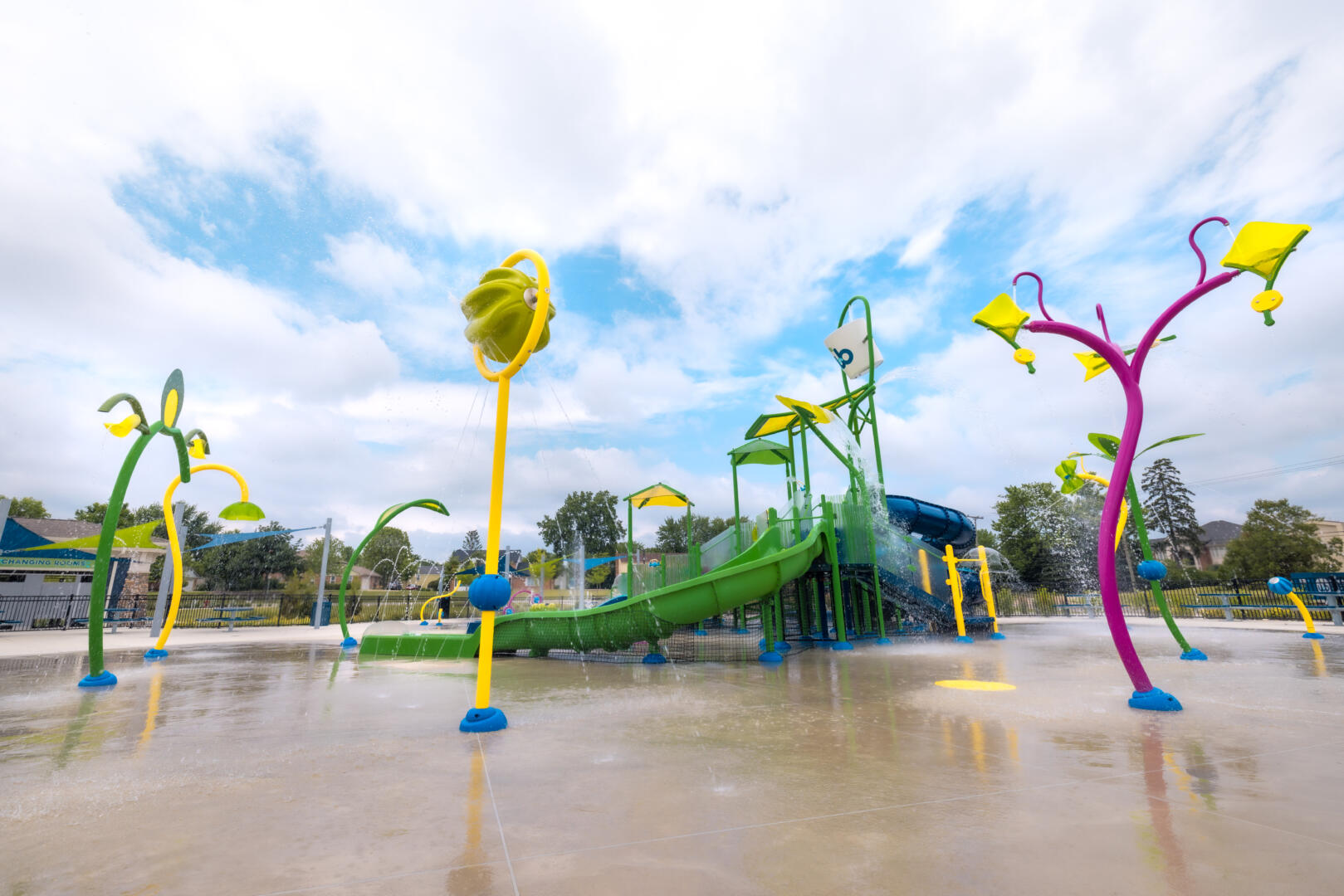 Lily Pad Springs Vortex