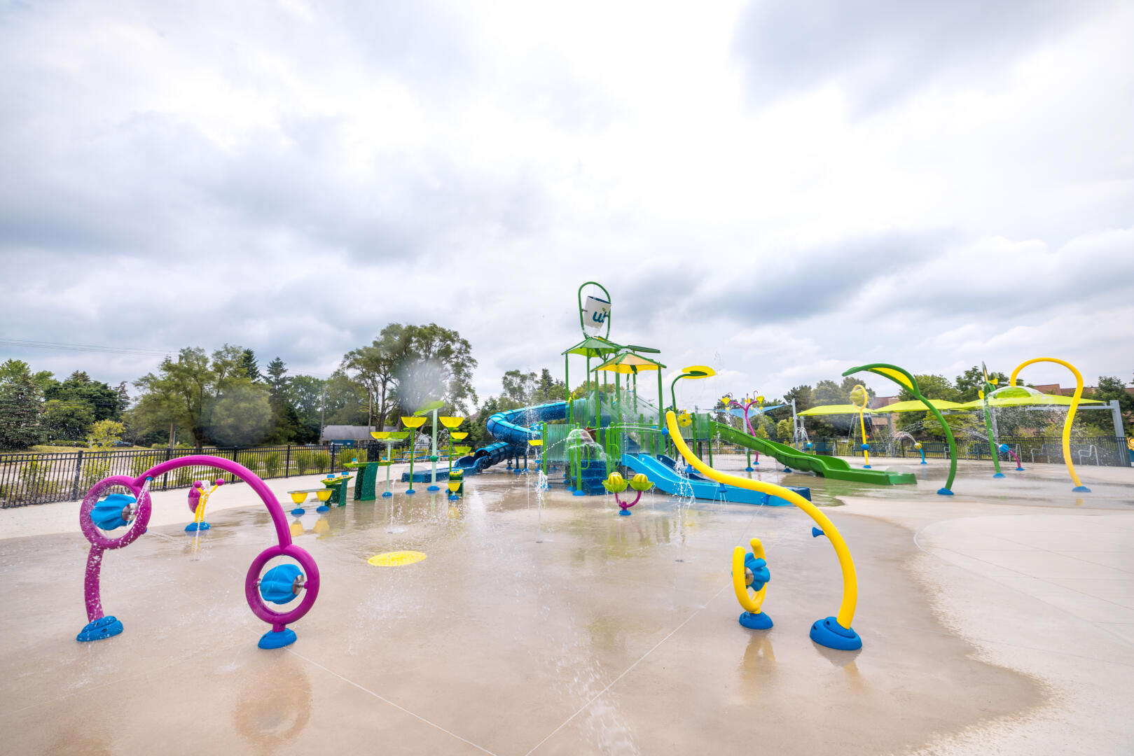 Lily Pad Springs Vortex