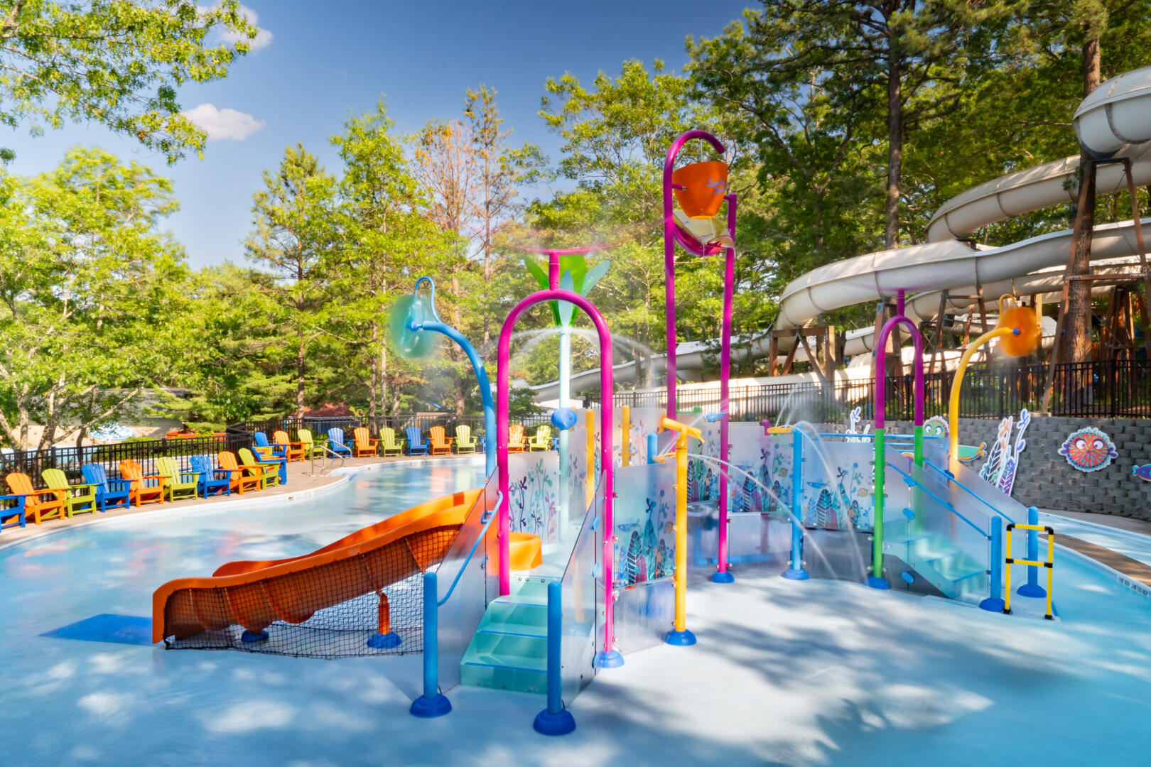 2 sny 2025 stingraybay 4