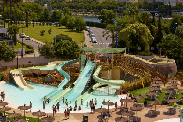 asf vortex is magica 2025 7 sf 5377